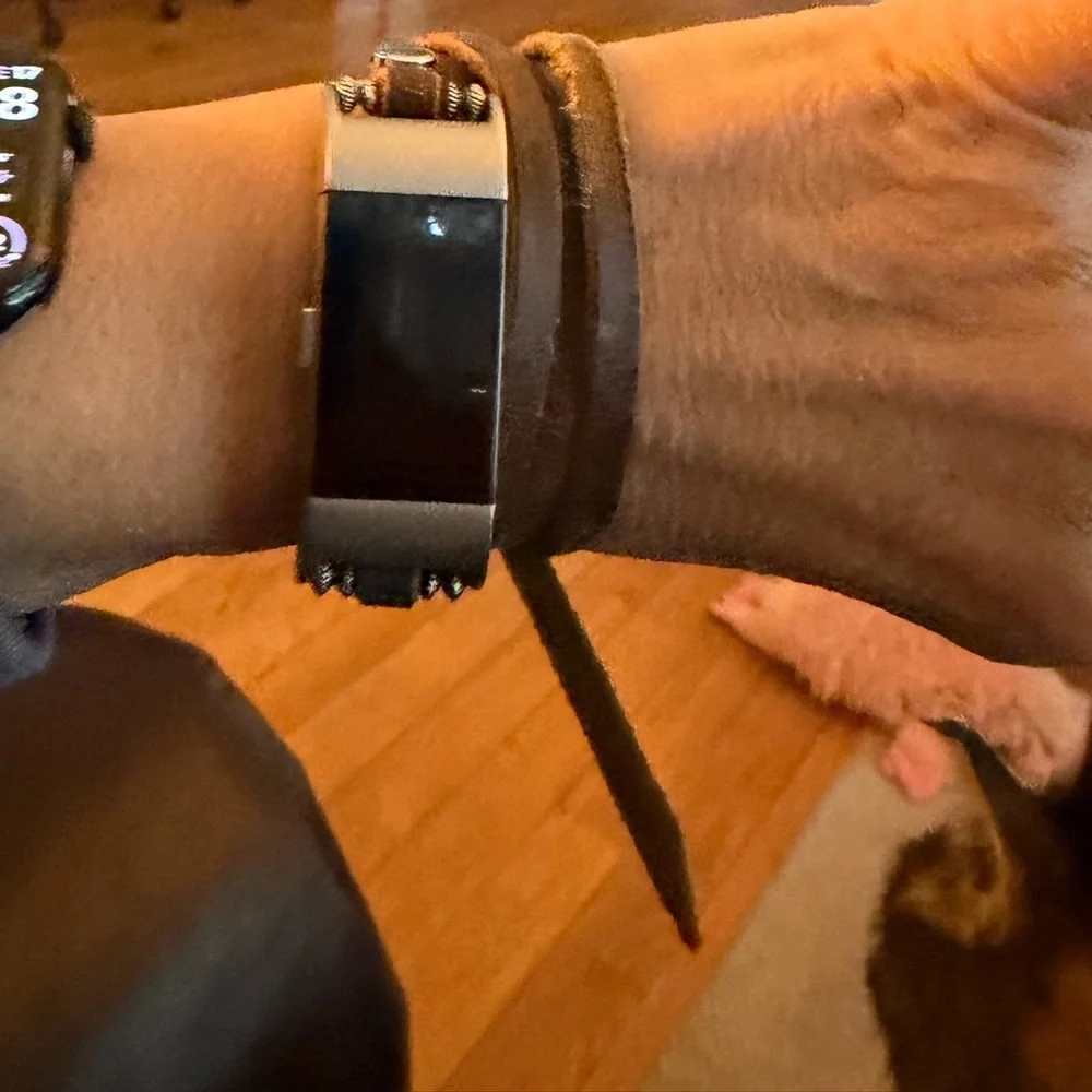 fitbit charge euc